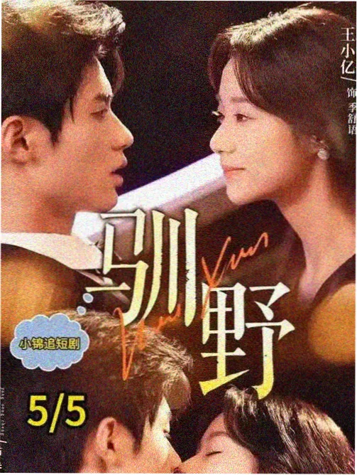 达达兔影视标本柜《奶油灯塔》封面图